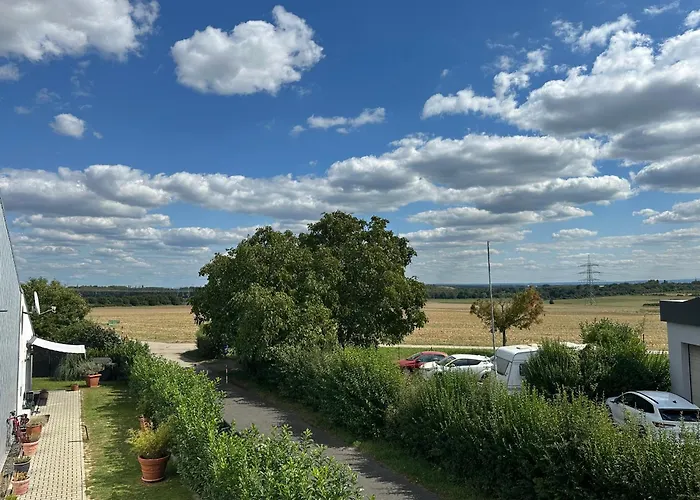 Bookieb By Schmitt *